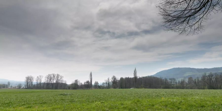 Landschaft in Seengen.