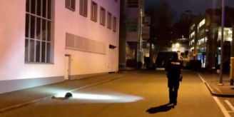 In Schaffhausen - Polizei rückt wegen verirrtem Biber aus