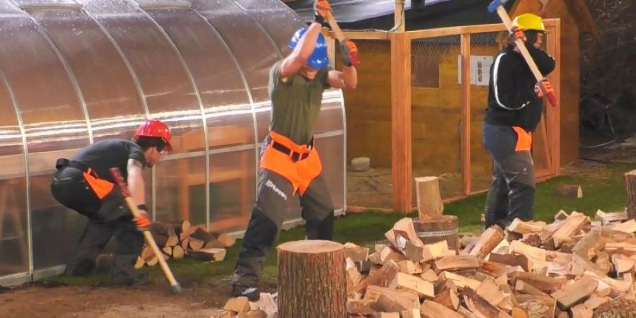 René (l-r), Cedric und Vanessa, Bewohner der Blockhaus-Gruppe in der Sat.1-Überwachungsshow «Big Brother». Foto: -/Sat.1/dpa