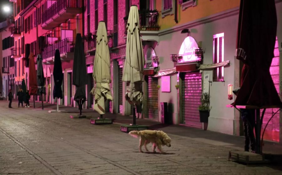 Ein Hund spaziert durch die verlassenen Strassen von Mailand.