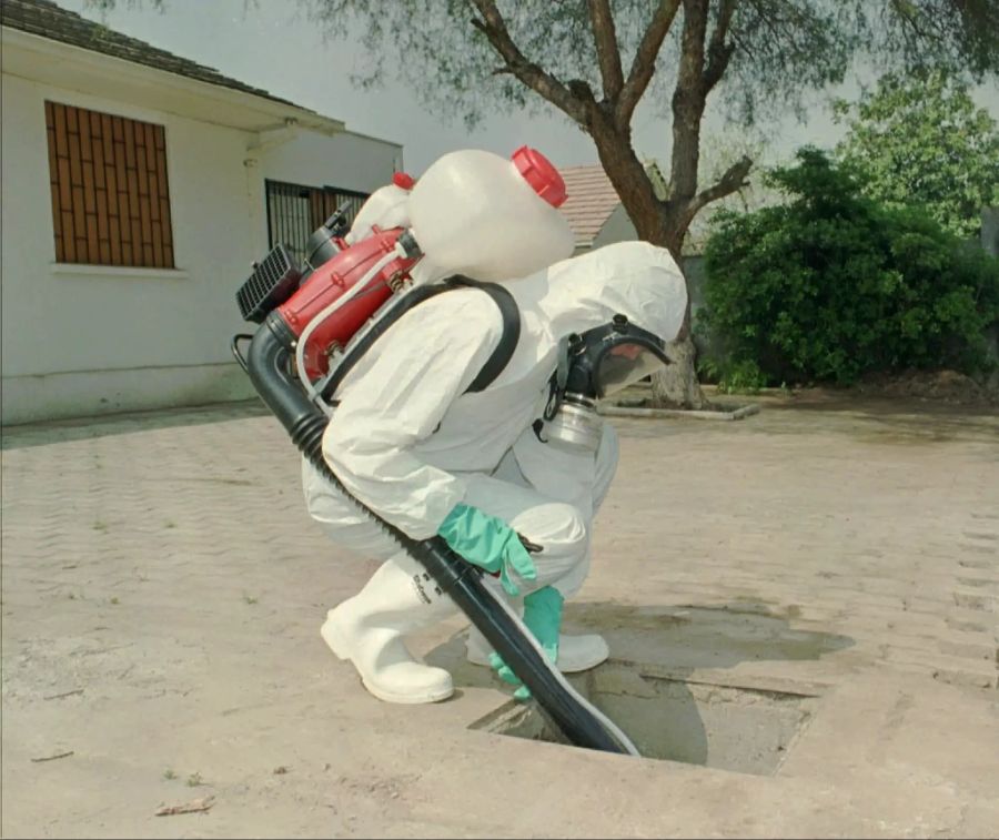 Hantavirus