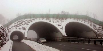 Wildtierbrücke