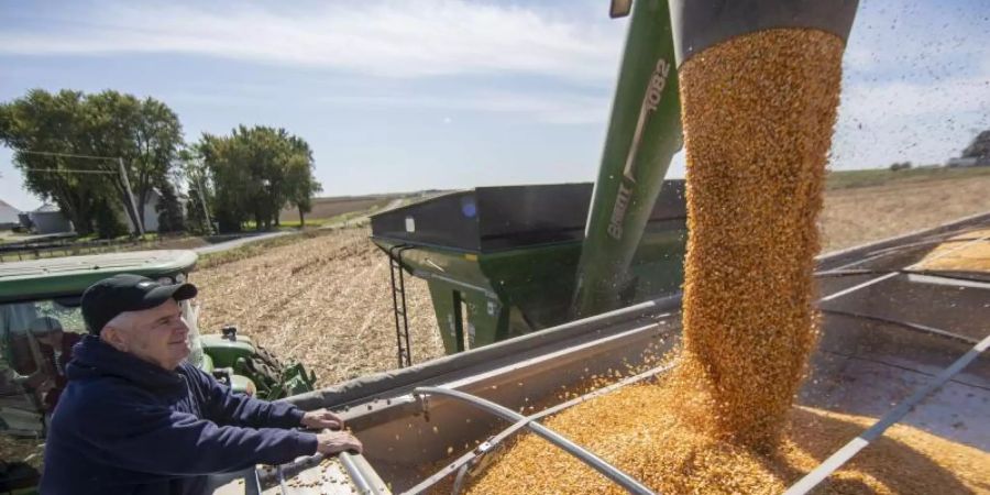 Viele US-amerikanische Farmer hoffen auf ein baldiges Ende des Handelskrieges mit China. Foto: Wang Ying/XinHua/dpa