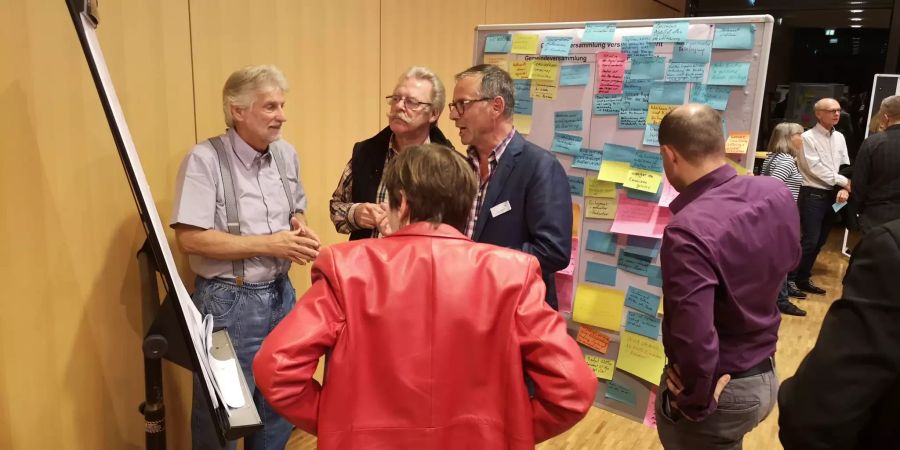 Mitwirkung Revision GO Thalwil