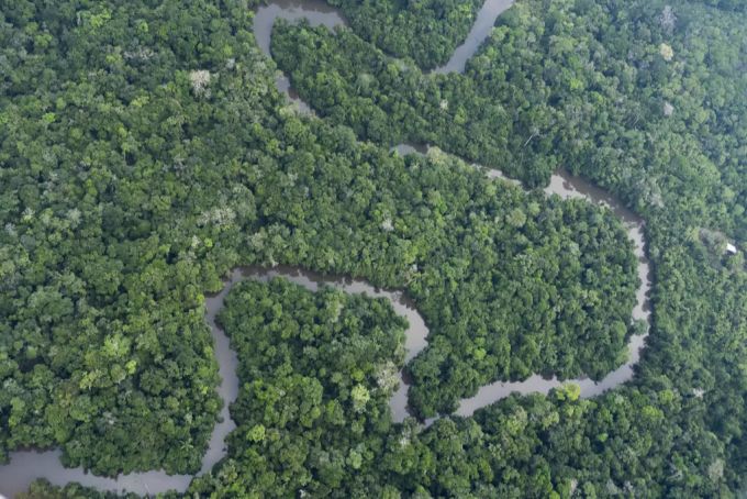 Paulino ist im brasilianischen Regenwald erschossen worden.