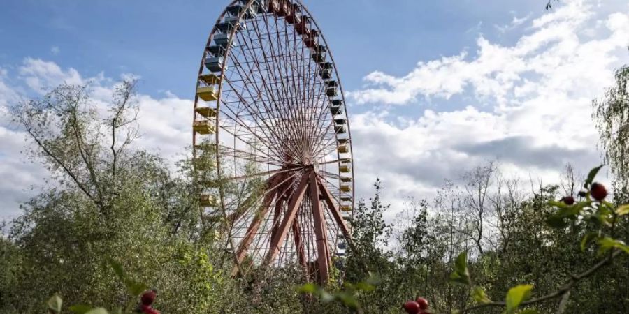 Eines der noch übrigen Fahrgeschäfte im Spreepark. Foto: Fabian Sommer/dpa