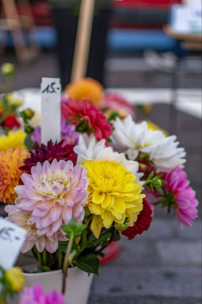 Jede Farbe vorhanden: Blumenverkauf beim Gemüsemarkt Aarau.