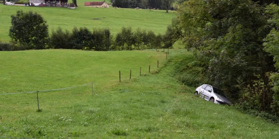 Selbstunfall in Speicher AR