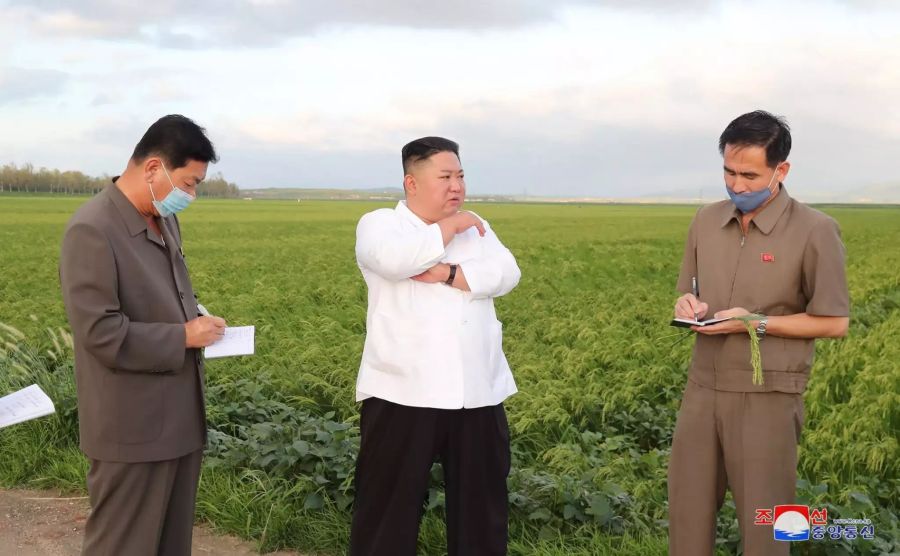 Die Fotos der staatlichen nordkoreanischen Nachrichtenagentur KCNA können nicht eindeutig verifiziert werden.