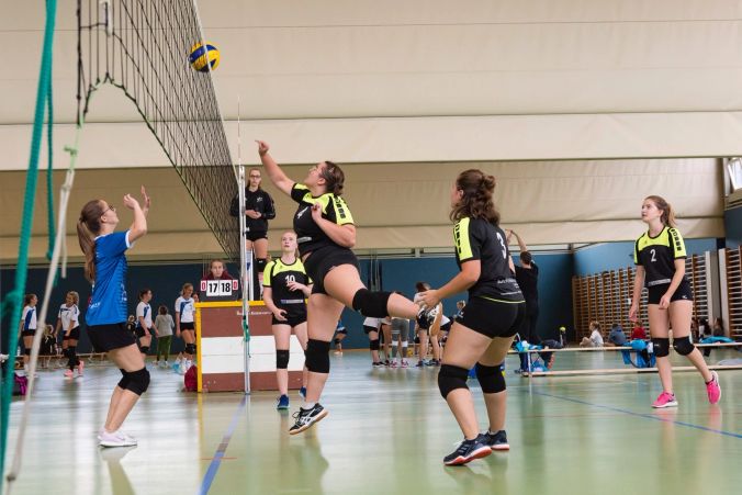 jedes Team gibt das beste