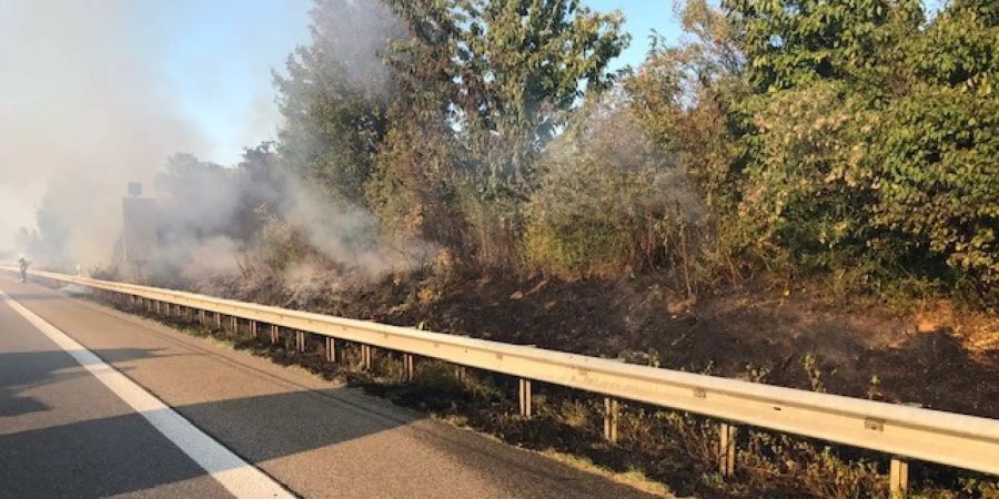 Flächenbrand