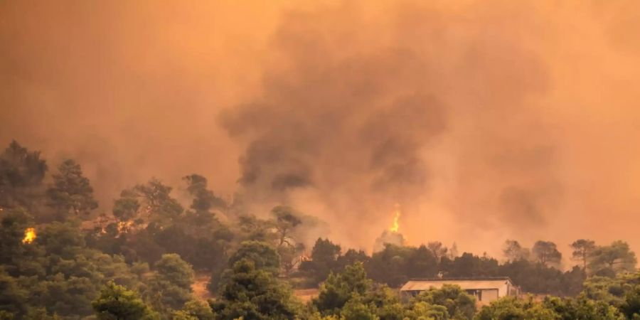 Waldbrand auf der Insel Euböa bei Athen.