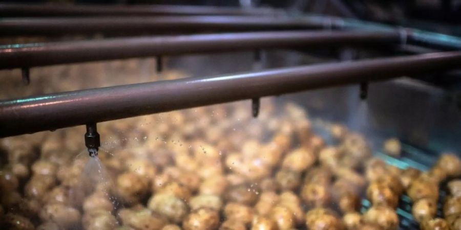 Kartoffeln werden in einer Fabrik gewaschen