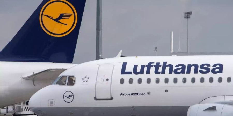 Teures Kerosin und ein erbittert geführter Preiskrieg haben der Lufthansa Verluste beschert. Foto: Silas Stein
