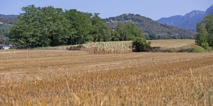 Kulturlandschaft Schweiz