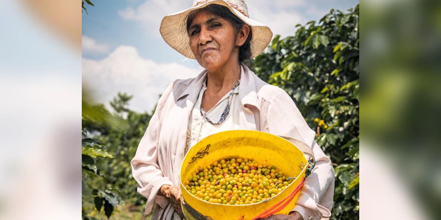 Finanzen Bolivien Rohstoffe