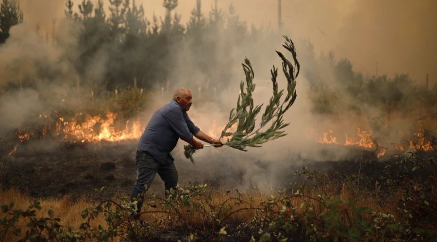 Anfang Jahr kam es in Chile zu verheerenden Waldbränden.