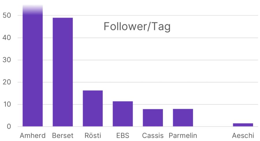 Bundesrat Follower Instagram