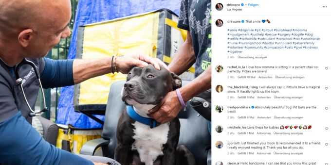 Dr. Kwane behandelt in Los Angeles gratis Hund von Obdachlosen. los angeles