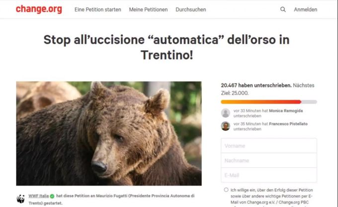 Eine Petition um einen Braunbären vor dem Tod zu retten. Petition Braunbär