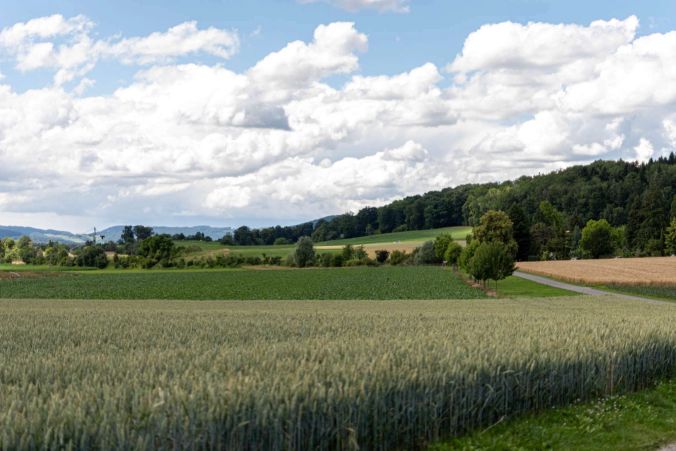 Die Aussicht vonaus dem Erdbeerfelds.