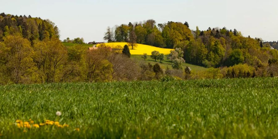 Felder in der Region Kloten.