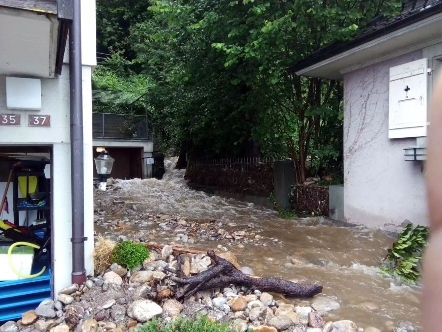 Das Wasser floss mitten durch den Garten.