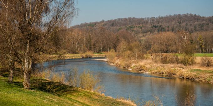 Der Fluss Thur im Zürcher Weinland bei Thalheim an der Thur. Fluss