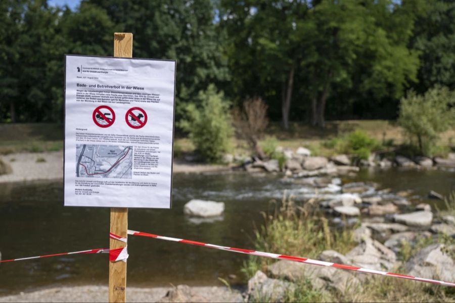 Im Naherholungsgebiet Lange Erlen im Kanton Basel-Stadt wurde die Wiese für Badende zum Schutz der Fische gesperrt.