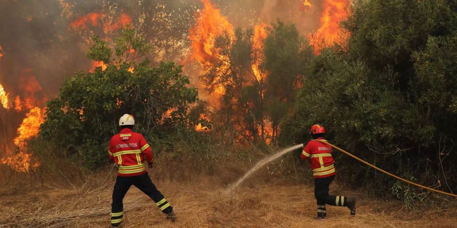 Portugiesische Feuerwehrkräfte versuchen das Feuer an der Algarve zu löschen.