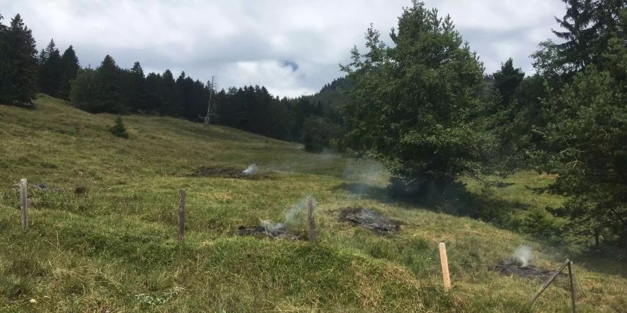 Die Brandherde konnten glücklicherweise schnell von der Feuerwehr gelöscht werden.