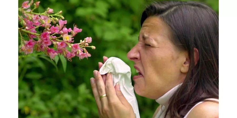 Nicht alle Allergiker kriegen dieses Jahr auch die gewünschten Medikamente. Grund dafür sind Lieferschwierigkeiten.