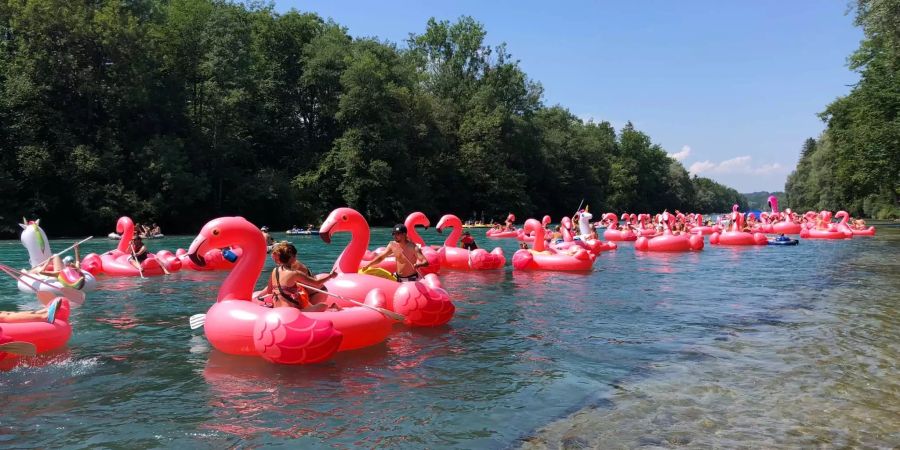 Die Reise für die Flamingo-Böötler startet.