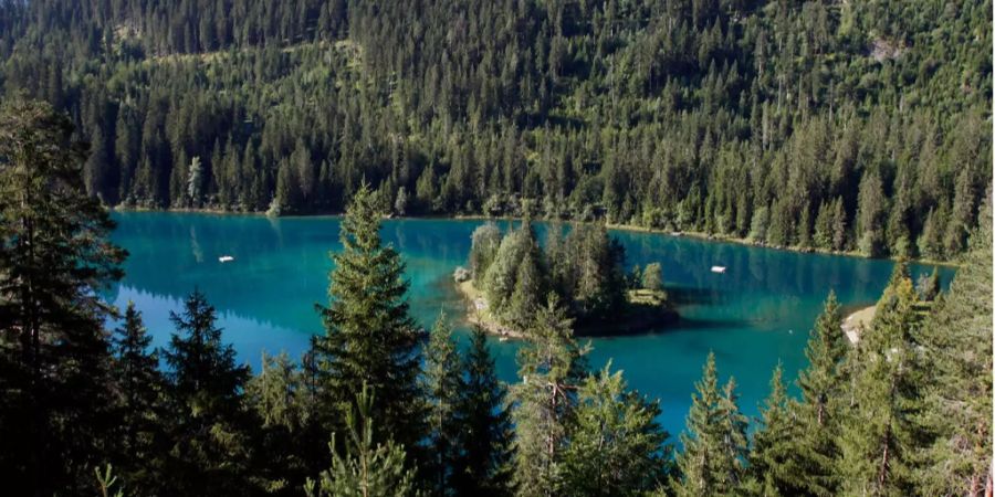 Der See liegt gut versteckt, mitten im Wald.