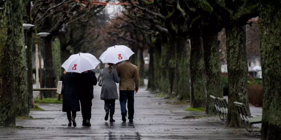 Am Auffahrts-Donnerstag kommt der Regen.