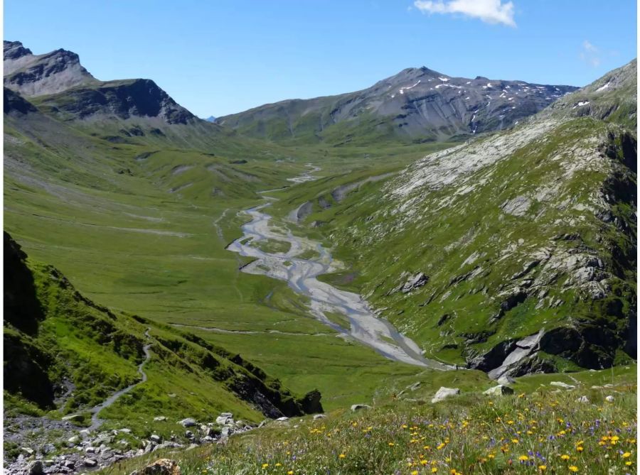 Spitzenplatz im Umweltranking, doch Schutzgebiete sind rar: Die Bevölkerung lehnte es ab, die Greina-Ebene zum Nationalpark zu machen. Bild: Wikimedia Commons / Whgler