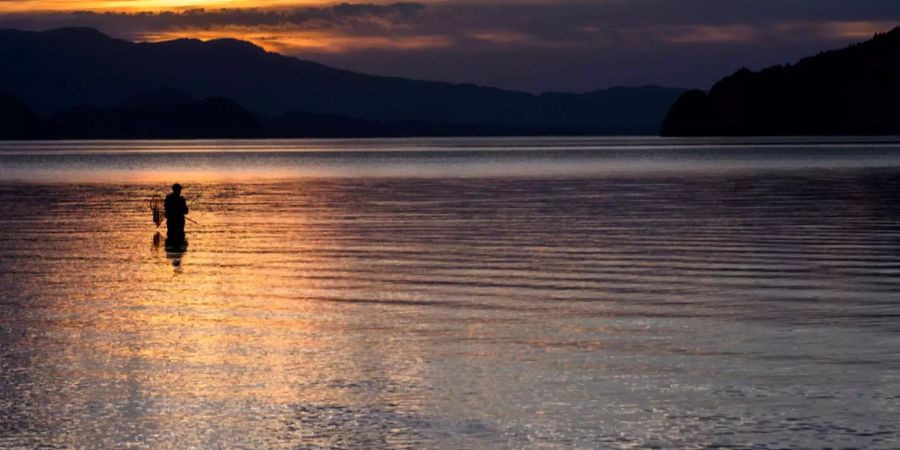 thunersee schwimmen