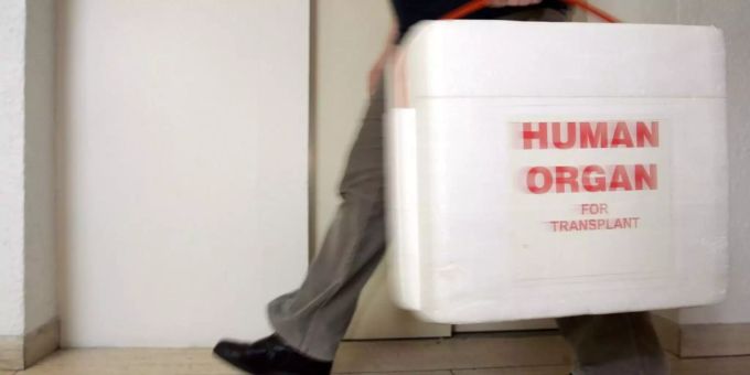 Ein Mann trägt eine Kühlbox zum Transport von Spendeorganen. (Symbolbild) Kühlbox Spendeorgane