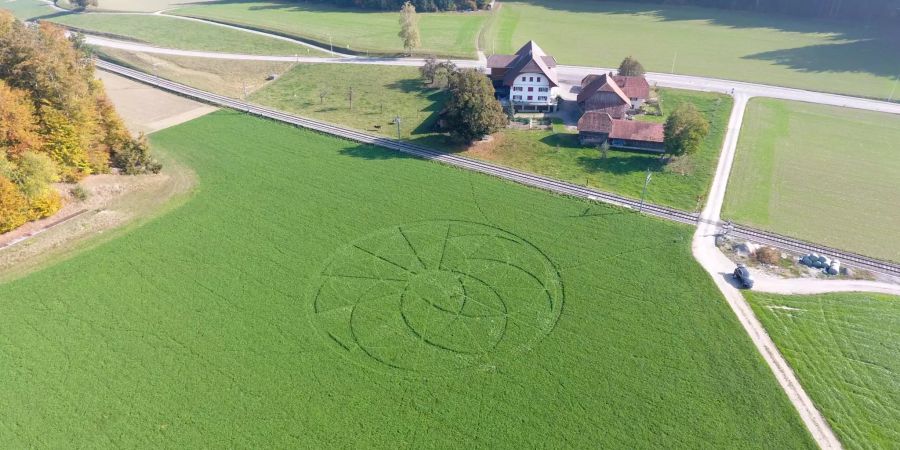 Dieser Graskreis wurde heute Samstag in Niederscherli BE gesichtet.