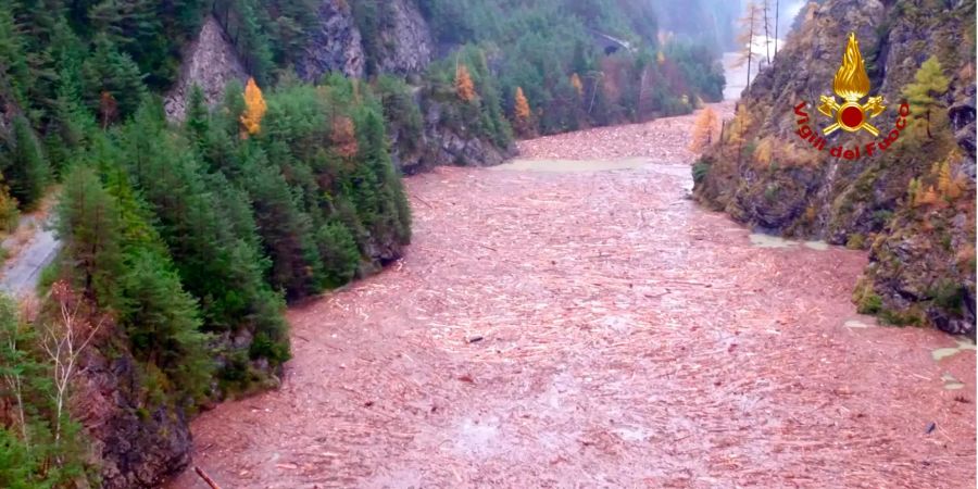 Dieses von der italienischen Feuerwehr zur Verfügung gestellte Foto zeigt umgestürzte Bäume, die den Fluss Piave hinuntertreiben.