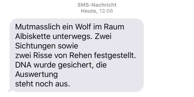 Der Kanton Zürich warnt per SMS vor dem mutmasslichen Wolf. Der Kanton Zürich warnt per SMS vor dem mutmasslichen Wolf.