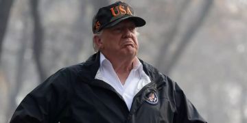 Donald Trump Mueller-Bericht
