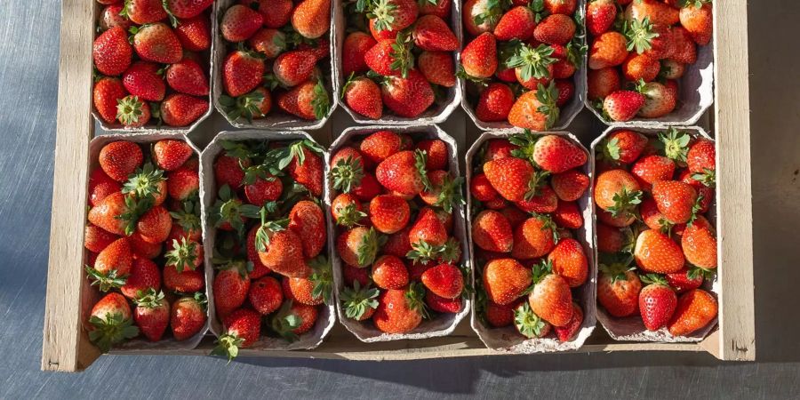 Erdbeeren in einer Schachtel.