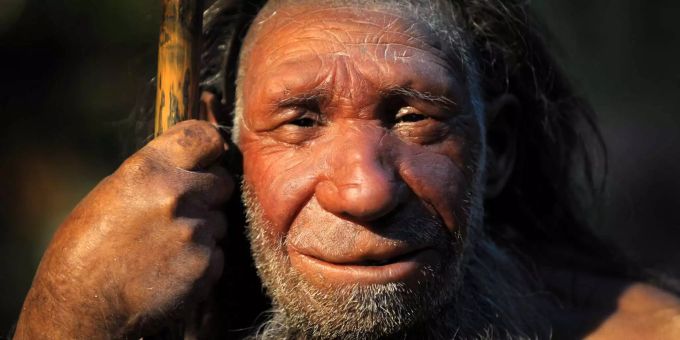 Die Nachbildung eines älteren Neandertalers steht im Neandertal-Museum von Mettmann (D). Desoxyribonukleinsäure