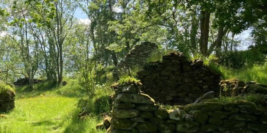 Ruinen des alten Dorfes am Nordufer des Loch Tay in Perthshire. Das zerstörte Dorf steht in Schottland zum Verkauf. Foto: Goldcrest Land&amp;Forestry Group/PA Media/dpa