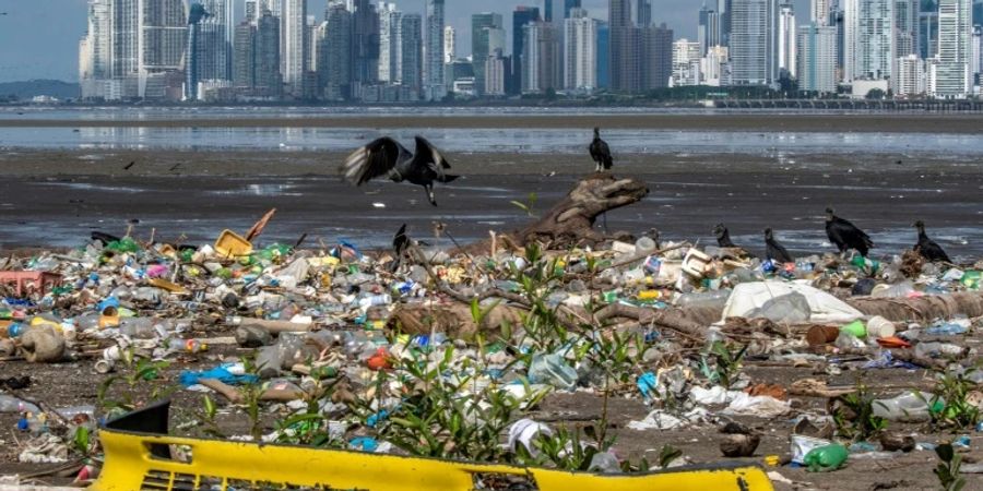 Plastikmüll an einem Strand