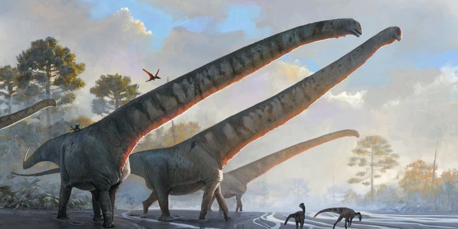 Halslänge von mehr als 15 Metern: Die Illustration des Natural History Museums zeigt Vertreter der Art Mamenchisaurus sinocanadorums.