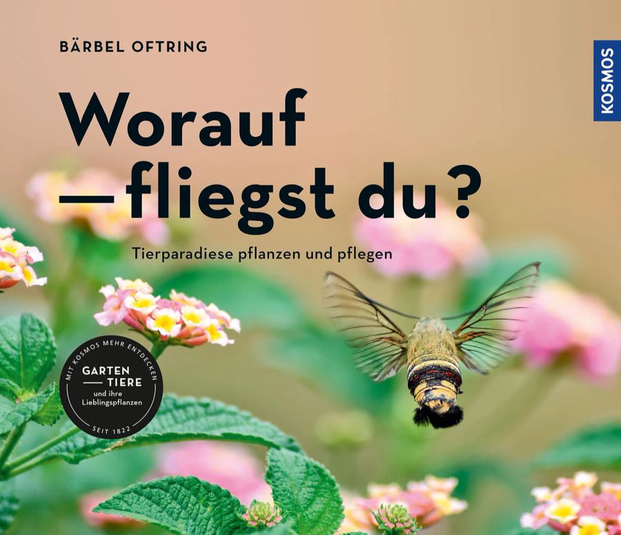 Buchcover Pflanzen Insekten