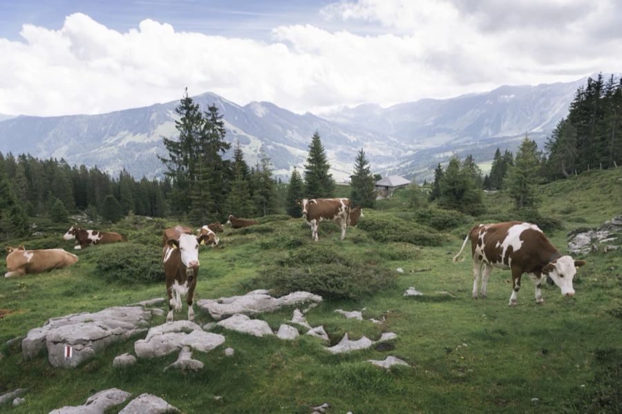 Das Wetter macht den Sennen im Appenzell zu schaffen.