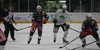 Eishockey - Der Schlittschuh-Club Herisau feiert 80-jähriges Jubiläum